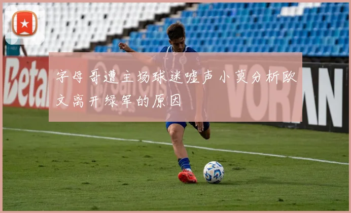 字母哥遭主场球迷嘘声小莫分析欧文离开绿军的原因